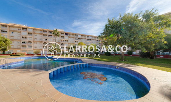 A Vendre - Apartment - Torrevieja - Centro