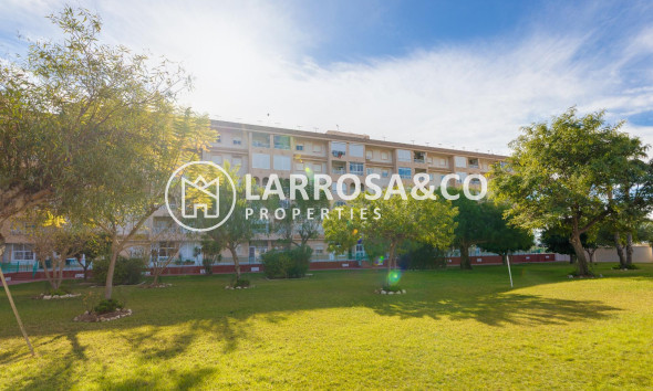 Herverkoop - Apartment - Torrevieja - Centro