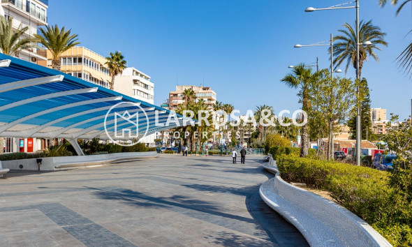 A Vendre - Apartment - Torrevieja - Centro