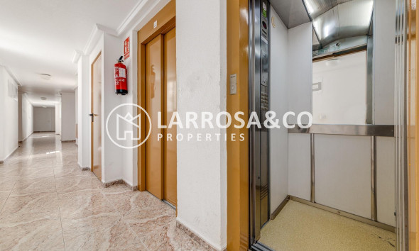 Reventa - Apartamento - Torrevieja - Centro