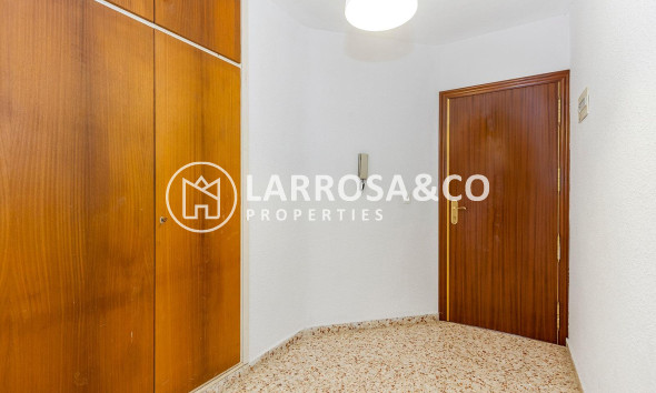 Reventa - Apartamento - Torrevieja - Playa Los Locos