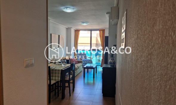 A Vendre - Apartment - Torrevieja - Playa del cura