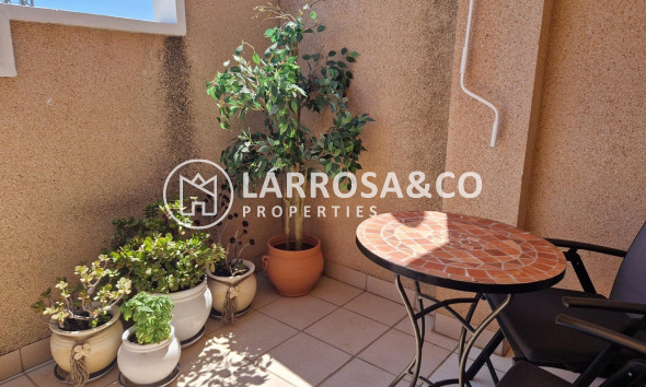 Reventa - Apartamento - Torrevieja - Playa del cura