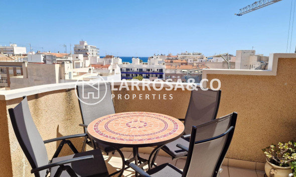 Reventa - Apartamento - Torrevieja - Playa del cura