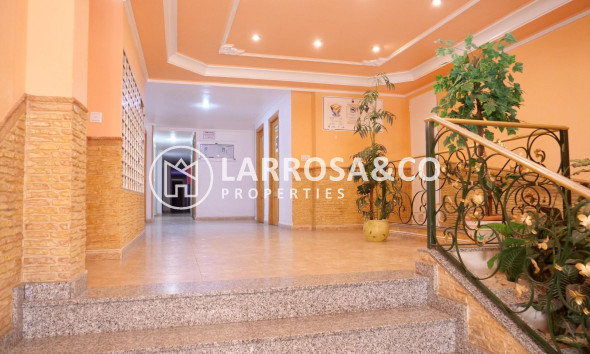 Resale - Apartment - Torrevieja - Los Locos Beach