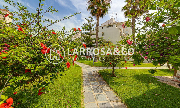 Resale - Semi-detached house - Torrevieja - Calas blanca