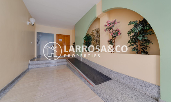 Resale - Apartment - Torrevieja - Acequion