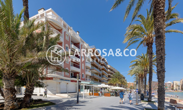 Herverkoop - Apartment - Torrevieja - Playa del cura