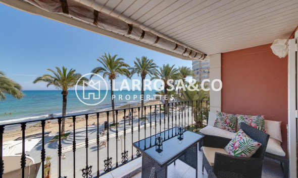 Herverkoop - Apartment - Torrevieja - Playa del cura