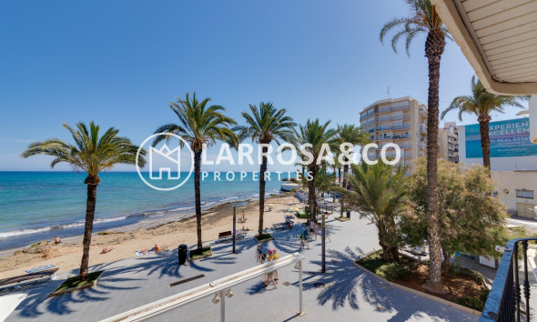 Resale - Apartment - Torrevieja - Playa del cura