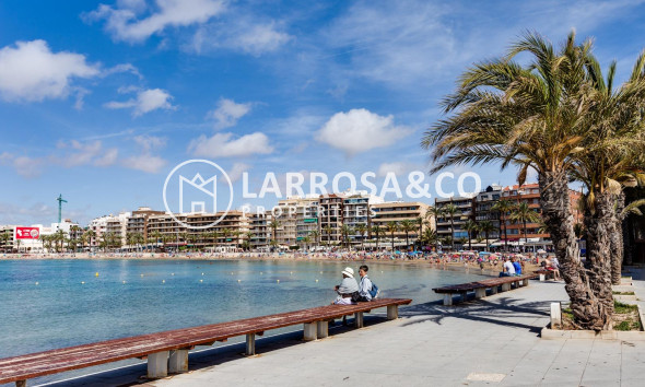 Herverkoop - Apartment - Torrevieja - Playa del cura