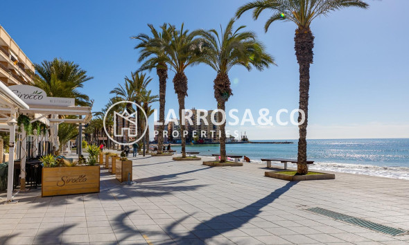 Herverkoop - Apartment - Torrevieja - Playa del cura