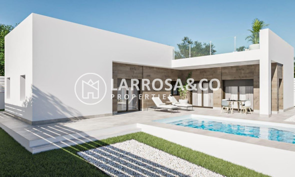 New build - Detached House/Villa - Pinoso - Campo