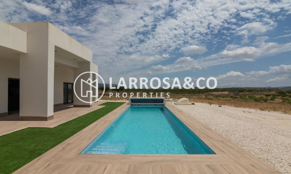 New build - Detached House/Villa - Pinoso - Campo