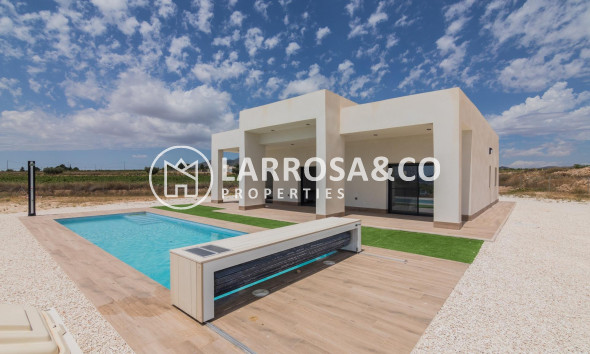 New build - Detached House/Villa - Pinoso - Campo