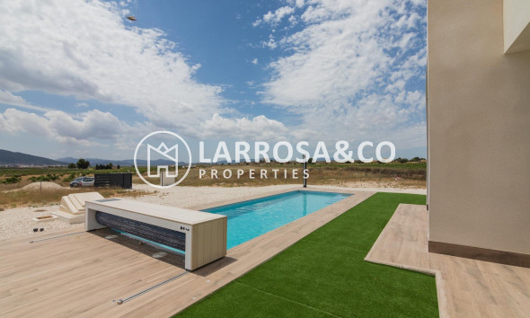 New build - Detached House/Villa - Pinoso - Campo