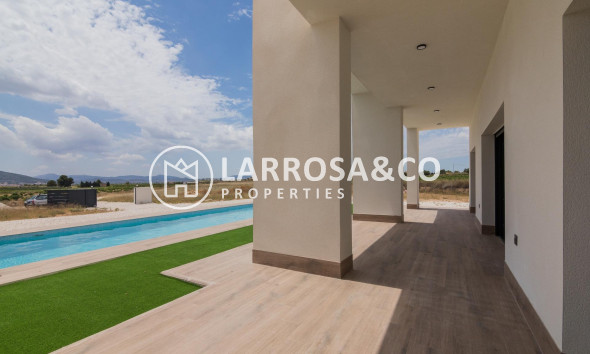 New build - Detached House/Villa - Pinoso - Campo