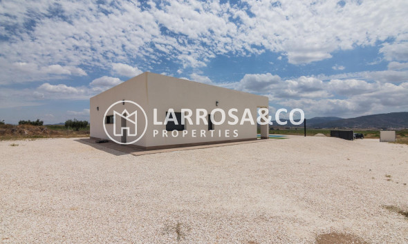 New build - Detached House/Villa - Pinoso - Campo