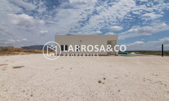 New build - Detached House/Villa - Pinoso - Campo