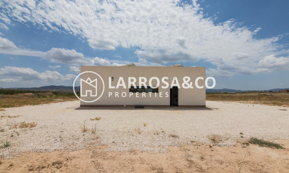 New build - Detached House/Villa - Pinoso - Campo