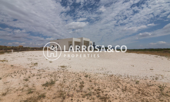 New build - Detached House/Villa - Pinoso - Campo