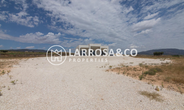 Obra Nueva - Chalet - Pinoso - Campo