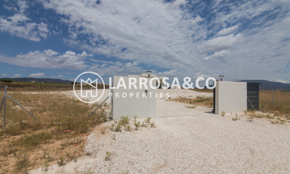 New build - Detached House/Villa - Pinoso - Campo