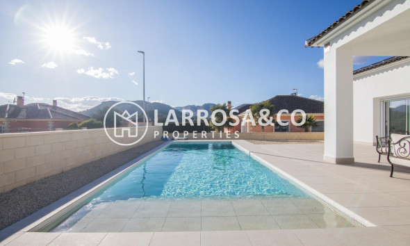 New build - Detached House/Villa - Pinoso - Campo