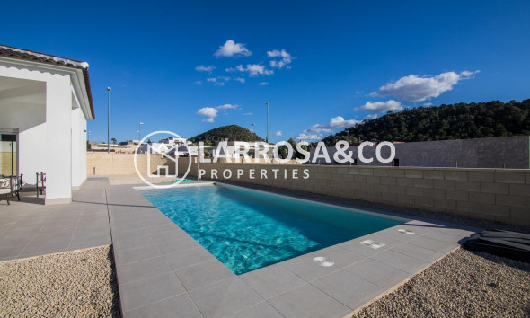 New build - Detached House/Villa - Pinoso - Campo