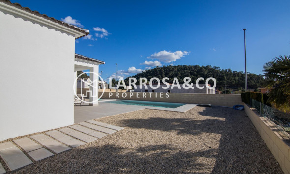 New build - Detached House/Villa - Pinoso - Campo