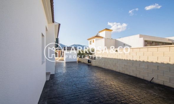 New build - Detached House/Villa - Pinoso - Campo