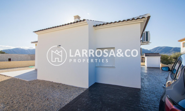 New build - Detached House/Villa - Pinoso - Campo