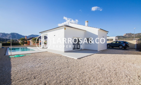 New build - Detached House/Villa - Pinoso - Campo