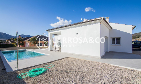 New build - Detached House/Villa - Pinoso - Campo