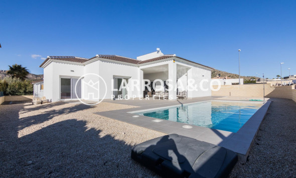 New build - Detached House/Villa - Pinoso - Campo