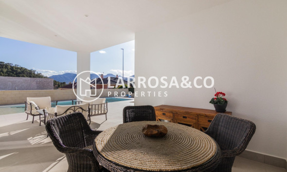 New build - Detached House/Villa - Pinoso - Campo