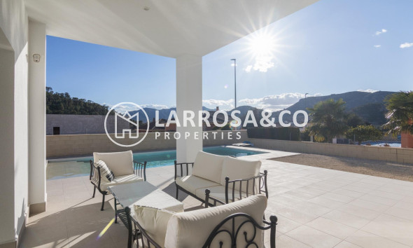 New build - Detached House/Villa - Pinoso - Campo