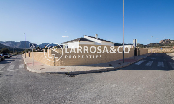 New build - Detached House/Villa - Pinoso - Campo