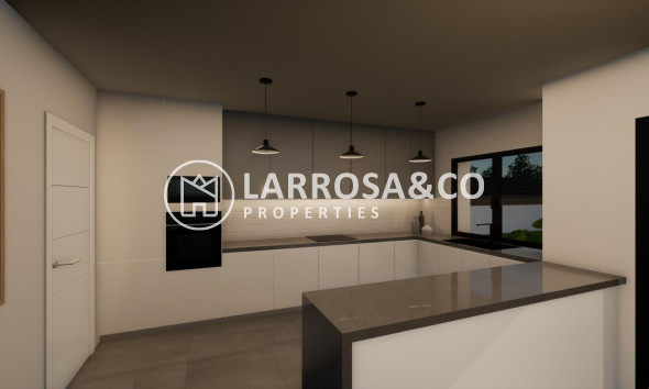 New build - Detached House/Villa - Pinoso - Campo