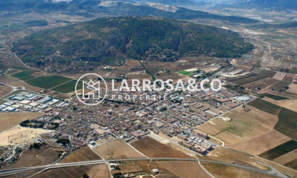 Obra Nueva - Chalet - Pinoso - Campo