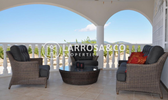 New build - Detached House/Villa - Pinoso - Campo