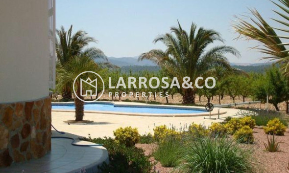 New build - Detached House/Villa - Pinoso - Campo