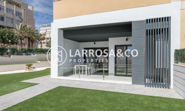 Obra Nueva - Apartamento - Torrevieja - Torreblanca