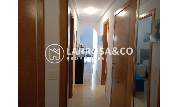 Resale - Apartment - Guardamar del Segura - SUP 7