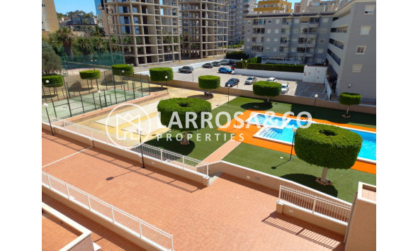 Resale - Apartment - Guardamar del Segura - SUP 7