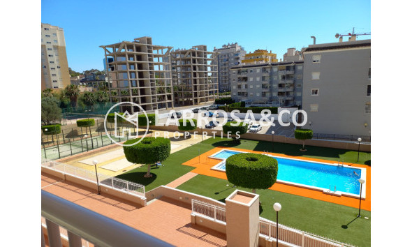 Resale - Apartment - Guardamar del Segura - SUP 7