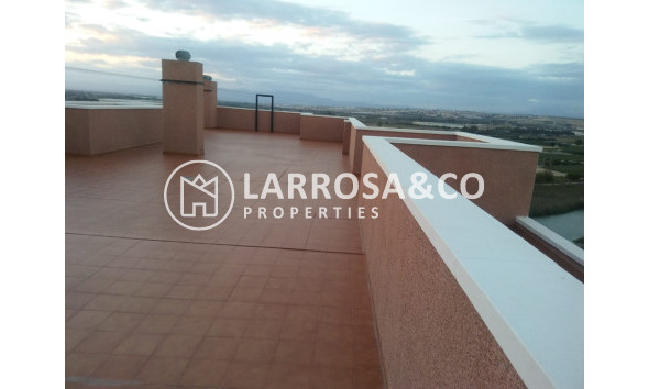 Resale - Apartment - Guardamar del Segura - SUP 7