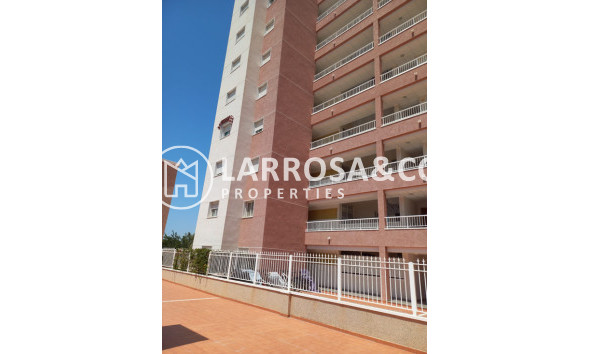 Resale - Apartment - Guardamar del Segura - SUP 7