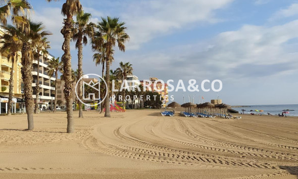 Reventa - Apartamento - Torrevieja - La Mata