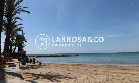 A Vendre - Commercial space - Torrevieja - Playa del cura